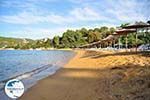 Aghia Paraskevi (Platanias beach) | Skiathos Sporades | Greece  Photo 30 - Photo GreeceGuide.co.uk