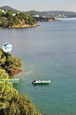 Kanapitsa | Skiathos Sporades | Greece  Photo 26 - Photo GreeceGuide.co.uk