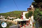 Megali Ammos (Ftelia) | Skiathos Sporades | Greece  Photo 6 - Photo GreeceGuide.co.uk