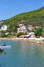 Megali Ammos (Ftelia) | Skiathos Sporades | Greece  Photo 11 - Photo GreeceGuide.co.uk