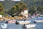 Skiathos town | Skiathos Sporades | Greece  Photo 5 - Photo GreeceGuide.co.uk