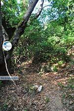 hiking trails near monastery Kechria | Skiathos Sporades | Greece  Photo 1 - Photo GreeceGuide.co.uk