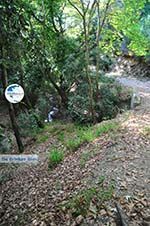 hiking trails near monastery Kechria | Skiathos Sporades | Greece  Photo 2 - Photo GreeceGuide.co.uk