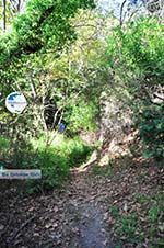 hiking trails near monastery Kechria | Skiathos Sporades | Greece  Photo 5 - Photo GreeceGuide.co.uk