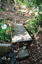 hiking trails near monastery Kechria | Skiathos Sporades | Greece  Photo 10 - Photo GreeceGuide.co.uk