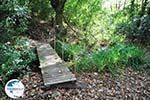 hiking trails near monastery Kechria | Skiathos Sporades | Greece  Photo 17 - Photo GreeceGuide.co.uk