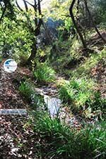 hiking trails near monastery Kechria | Skiathos Sporades | Greece  Photo 18 - Photo GreeceGuide.co.uk