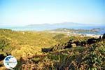 PanoramaPhoto Skiathos town | Skiathos Sporades | Greece  Photo 1 - Photo GreeceGuide.co.uk