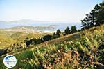 PanoramaPhoto Skiathos town | Skiathos Sporades | Greece  Photo 8 - Photo GreeceGuide.co.uk