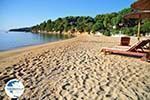 Achladies | Skiathos Sporades | Greece  Photo 16 - Photo GreeceGuide.co.uk