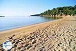 Achladies | Skiathos Sporades | Greece  Photo 17 - Photo GreeceGuide.co.uk