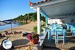 Maniatis Garden Achladies | Skiathos Sporades | Greece  Photo 4 - Photo GreeceGuide.co.uk