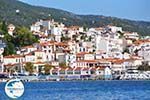 Skiathos town | Skiathos Sporades | Greece  Photo 67 - Photo GreeceGuide.co.uk