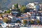 Skiathos town | Skiathos Sporades | Greece  Photo 75 - Photo GreeceGuide.co.uk