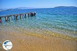 Achladies | Skiathos Sporades | Greece  Photo 19 - Photo GreeceGuide.co.uk