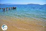 Achladies | Skiathos Sporades | Greece  Photo 20 - Photo GreeceGuide.co.uk