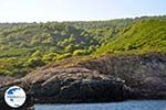 The green eastern coast of Skopelos | Sporades | Greece  Photo 2 - Photo GreeceGuide.co.uk