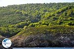 The green eastern coast of Skopelos | Sporades | Greece  Photo 3 - Photo GreeceGuide.co.uk