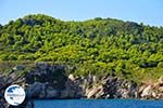 The green eastern coast of Skopelos | Sporades | Greece  Photo 6 - Photo GreeceGuide.co.uk