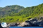 The green eastern coast of Skopelos | Sporades | Greece  Photo 7 - Photo GreeceGuide.co.uk