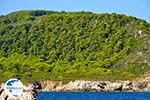 The green eastern coast of Skopelos | Sporades | Greece  Photo 8 - Photo GreeceGuide.co.uk