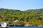 The green eastern coast of Skopelos | Sporades | Greece  Photo 10 - Photo GreeceGuide.co.uk