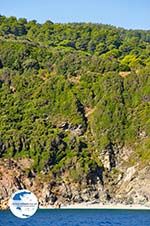 The green eastern coast of Skopelos | Sporades | Greece  Photo 11 - Photo GreeceGuide.co.uk