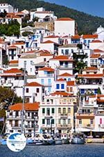 Skopelos town | Sporades | Greece  Photo 6 - Photo GreeceGuide.co.uk