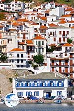 Skopelos town | Sporades | Greece  Photo 7 - Photo GreeceGuide.co.uk