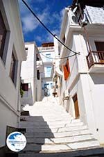 Skopelos town | Sporades | Greece  Photo 23 - Photo GreeceGuide.co.uk