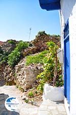 Skopelos town | Sporades | Greece  Photo 62 - Photo GreeceGuide.co.uk