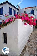 Skopelos town | Sporades | Greece  Photo 63 - Photo GreeceGuide.co.uk