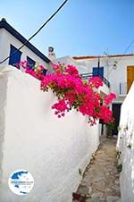 Skopelos town | Sporades | Greece  Photo 64 - Photo GreeceGuide.co.uk