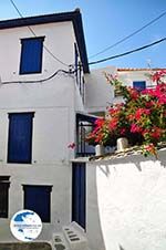 Skopelos town | Sporades | Greece  Photo 66 - Photo GreeceGuide.co.uk