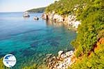 Stafylos | Skopelos Sporades | Greece  Photo 2 - Photo GreeceGuide.co.uk