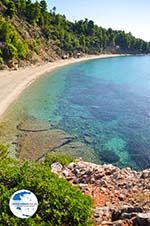 Stafylos | Skopelos Sporades | Greece  Photo 8 - Photo GreeceGuide.co.uk