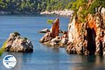 Stafylos | Skopelos Sporades | Greece  Photo 12 - Photo GreeceGuide.co.uk