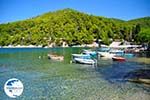 Agnontas | Skopelos Sporades | Greece  Photo 3 - Photo GreeceGuide.co.uk