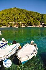 Agnontas | Skopelos Sporades | Greece  Photo 7 - Photo GreeceGuide.co.uk