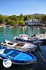 Agnontas | Skopelos Sporades | Greece  Photo 8 - Photo GreeceGuide.co.uk