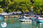 Agnontas | Skopelos Sporades | Greece  Photo 10 - Photo GreeceGuide.co.uk