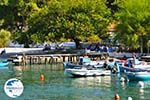 Agnontas | Skopelos Sporades | Greece  Photo 10 - Photo GreeceGuide.co.uk