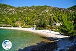 Limnonari near Agnontas | Skopelos Sporades | Greece  Photo 6 - Photo GreeceGuide.co.uk