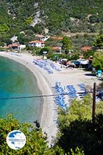 Panormos Skopelos | Sporades | Greece  Photo 3 - Photo GreeceGuide.co.uk