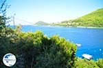 Panormos Skopelos | Sporades | Greece  Photo 6 - Photo GreeceGuide.co.uk