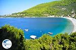 Panormos Skopelos | Sporades | Greece  Photo 7 - Photo GreeceGuide.co.uk