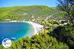 Panormos Skopelos | Sporades | Greece  Photo 8 - Photo GreeceGuide.co.uk