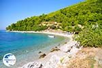 Panormos Skopelos | Sporades | Greece  Photo 10 - Photo GreeceGuide.co.uk