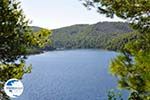 Panormos Skopelos | Sporades | Greece  Photo 14 - Photo GreeceGuide.co.uk