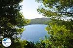 Panormos Skopelos | Sporades | Greece  Photo 16 - Photo GreeceGuide.co.uk